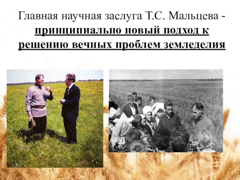 Главная научная заслуга Т.С. Мальцева - принципиально новый подход к решению вечных проблем земледелия