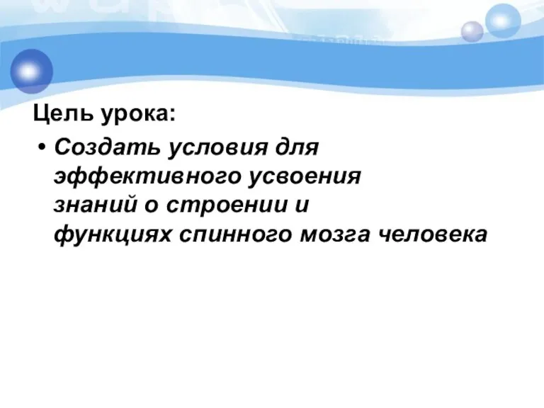 Цель урока: Создать условия для эффективного усвоения знаний о строении и функциях спинного мозга человека