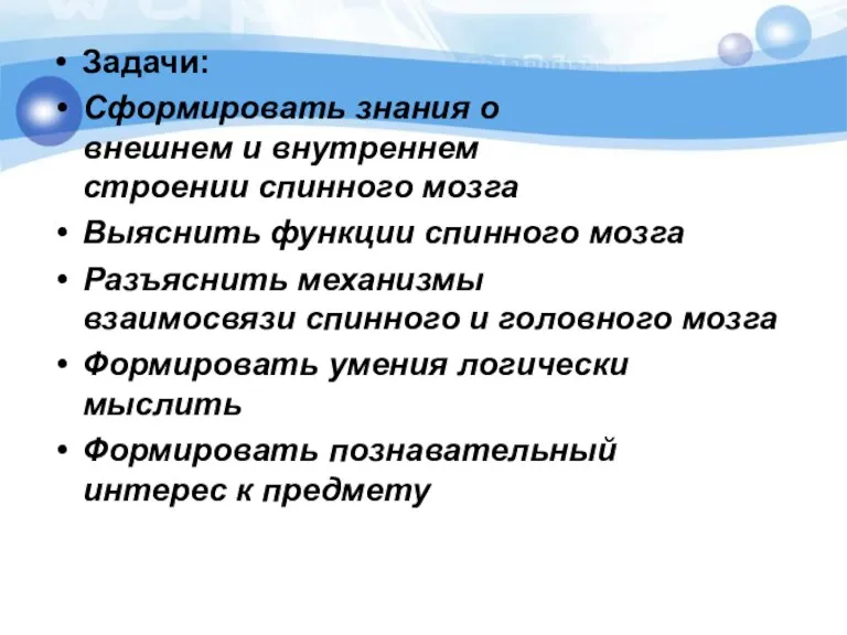 Задачи: Сформировать знания о внешнем и внутреннем строении спинного мозга Выяснить функции