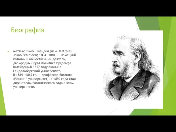 Биография Маттиас Якоб Шлейден (нем. Matthias Jakob Schleiden; 1804—1881) — немецкий ботаник