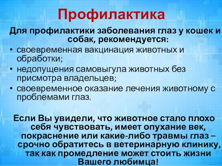 Профилактика Для профилактики заболевания глаз у кошек и собак, рекомендуется: своевременная вакцинация