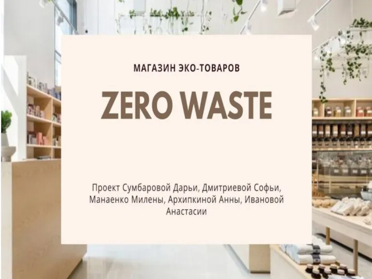 Магазин эко-товаров Zero Waste. Проект