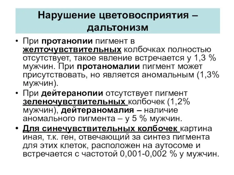 Нарушение цветовосприятия – дальтонизм При протанопии пигмент в желточувствительных колбочках полностью отсутствует,