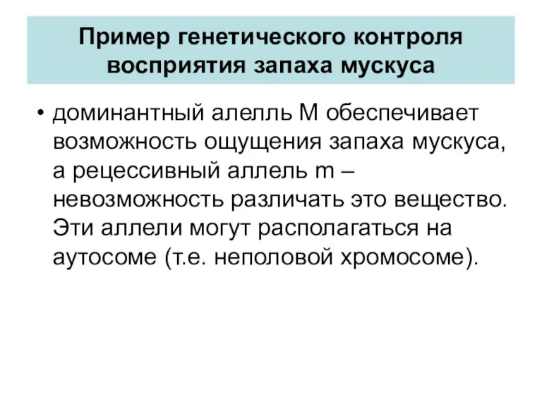 Пример генетического контроля восприятия запаха мускуса доминантный алелль М обеспечивает возможность ощущения