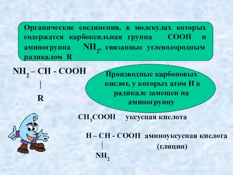 NH2 – CH - COOH | R Органические соединения, в молекулах которых