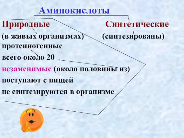 Аминокислоты Природные Синтетические (в живых организмах) (синтезированы) протеиногенные всего около 20 незаменимые