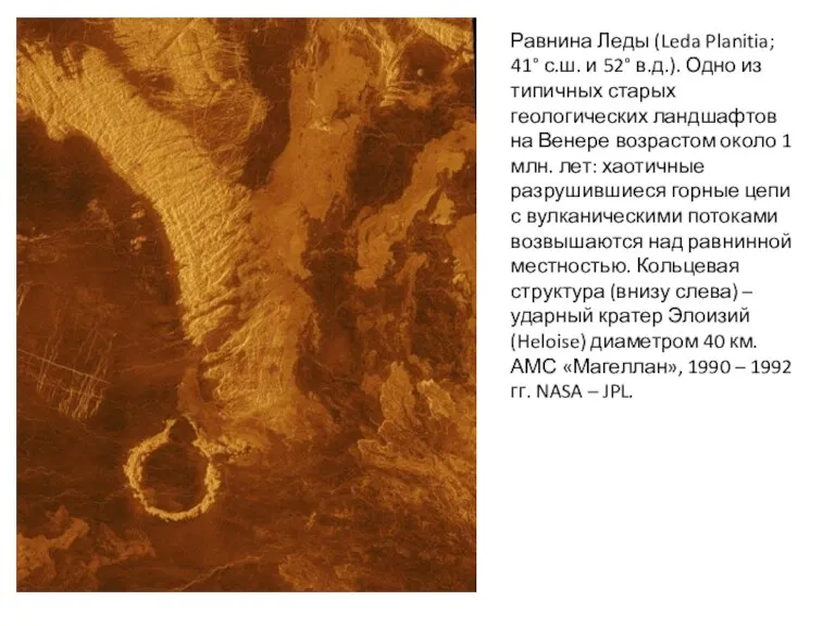 Равнина Леды (Leda Planitia; 41° с.ш. и 52° в.д.). Одно из типичных