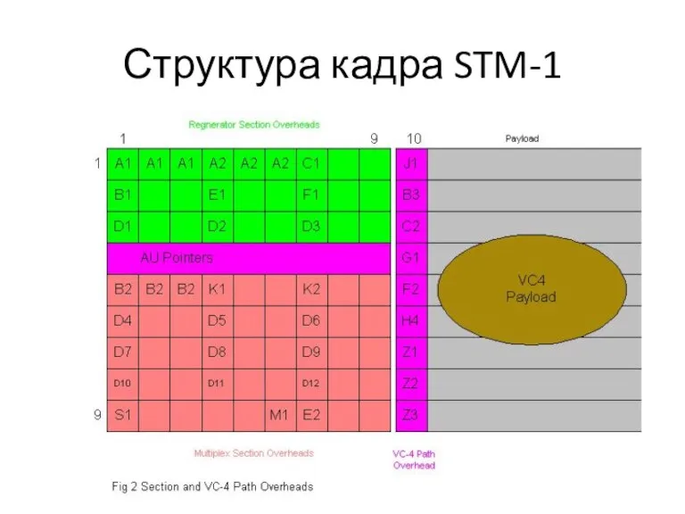 Структура кадра STM-1