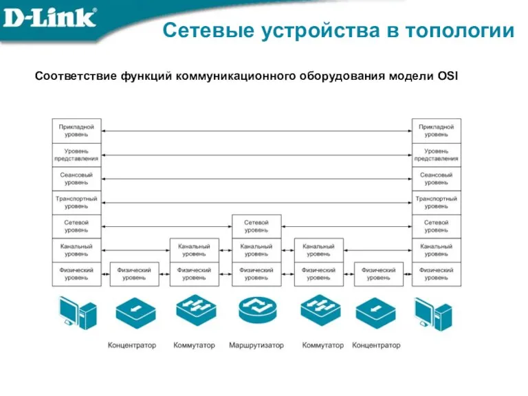 Сетевые устройства в топологии Соответствие функций коммуникационного оборудования модели OSI