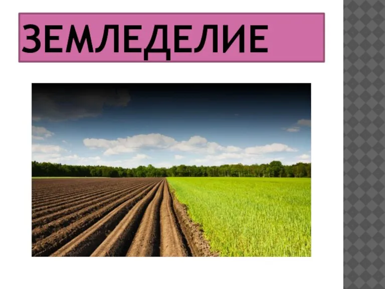 ЗЕМЛЕДЕЛИЕ