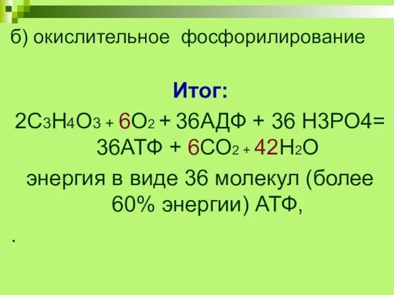 б) окислительное фосфорилирование Итог: 2С3Н4О3 + 6О2 + 36АДФ + 36 Н3РО4=