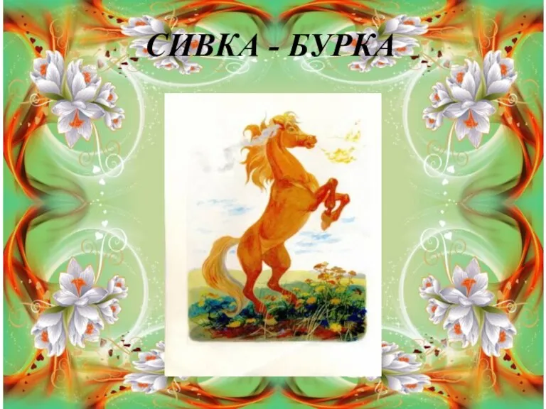 СИВКА - БУРКА