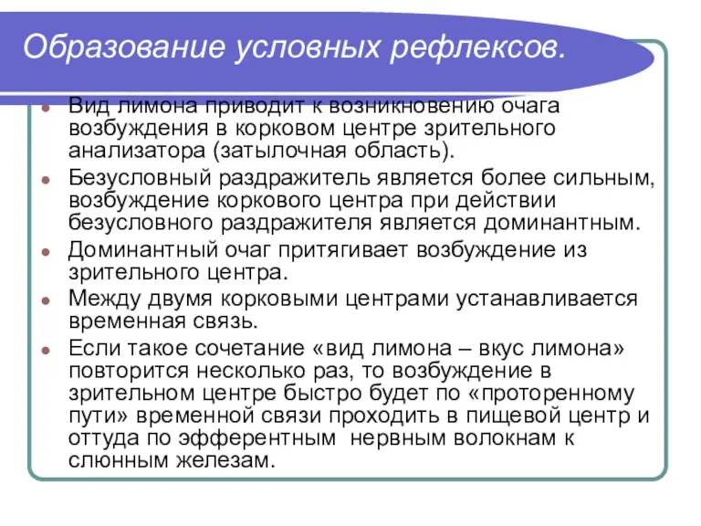 Образование условных рефлексов. Вид лимона приводит к возникновению очага возбуждения в корковом