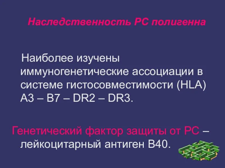 Наследственность РС полигенна Наиболее изучены иммуногенетические ассоциации в системе гистосовместимости (HLA) A3