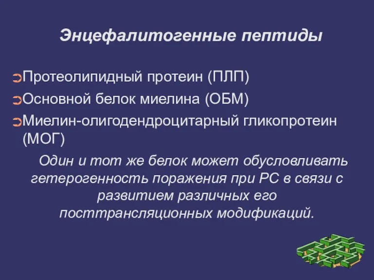 Энцефалитогенные пептиды Протеолипидный протеин (ПЛП) Основной белок миелина (ОБМ) Миелин-олигодендроцитарный гликопротеин (МОГ)