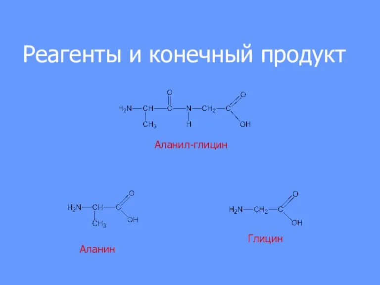 Реагенты и конечный продукт Глицин Аланил-глицин Аланин