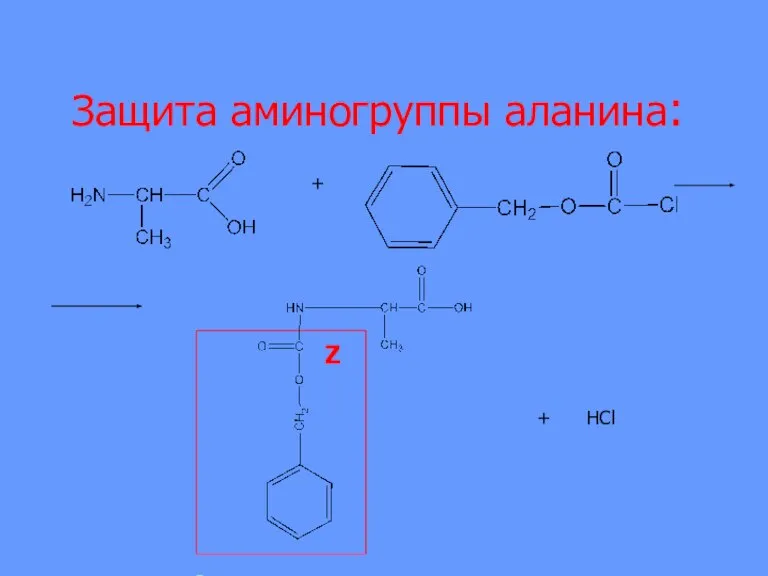 Защита аминогруппы аланина: Z + + HCl