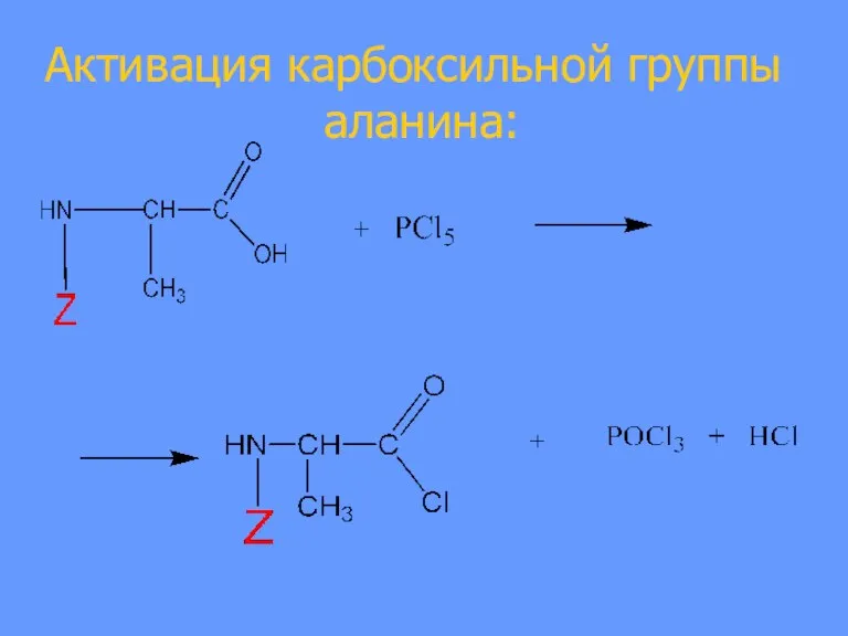 Активация карбоксильной группы аланина: