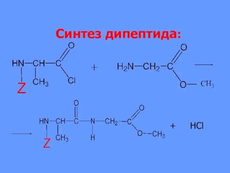 Синтез дипептида: + НCl