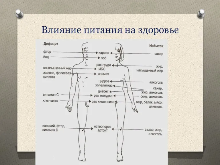 Влияние питания на здоровье