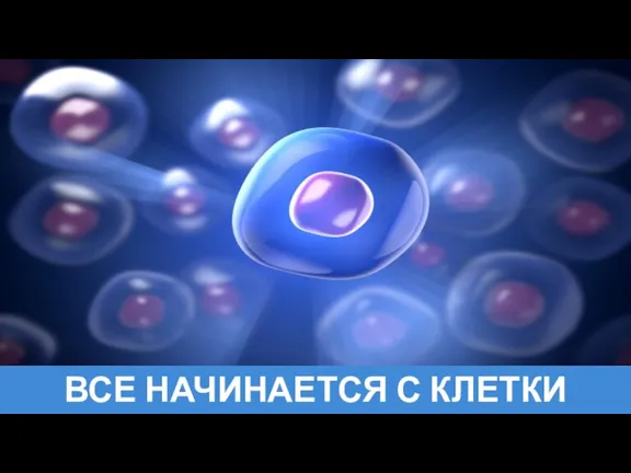 ВСЕ НАЧИНАЕТСЯ С КЛЕТКИ