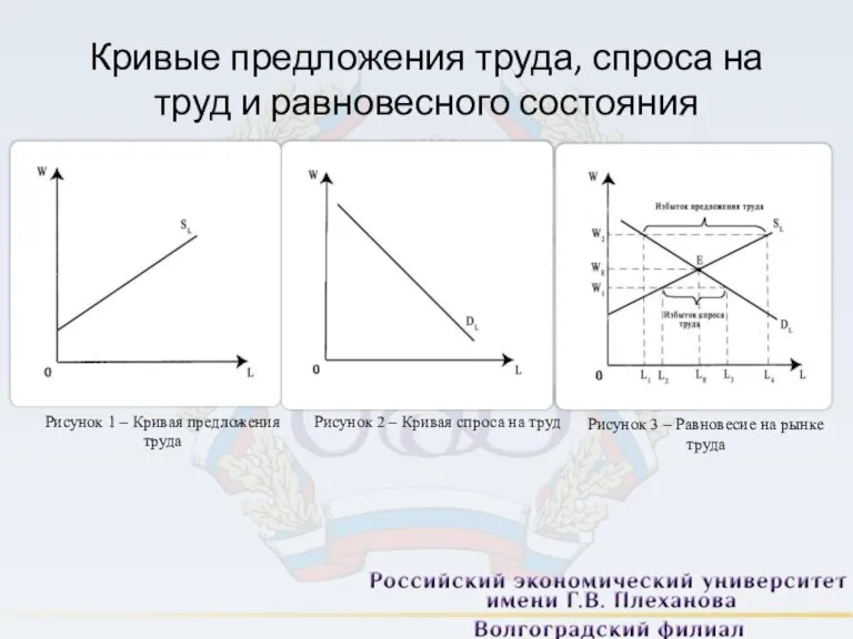 Кривые предложения труда, спроса на труд и равновесного состояния Рисунок 1 –