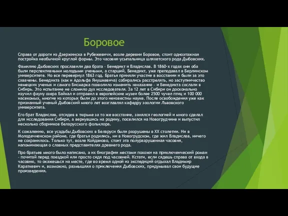 Боровое Справа от дороги из Дзержинска в Рубежевичи, возле деревни Боровое, стоит