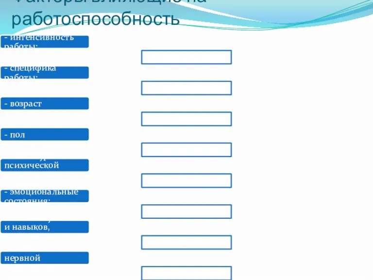 Факторы влияющие на работоспособность - интенсивность работы; - специфика работы; - возраст