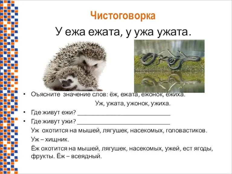 Чистоговорка У ежа ежата, у ужа ужата. Оъясните значение слов: ёж, ежата,