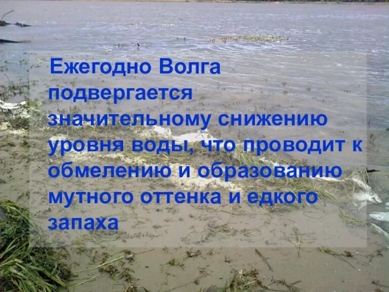 Ежегодно Волга подвергается значительному снижению уровня воды, что проводит к обмелению и