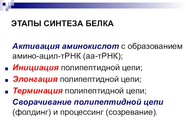 ЭТАПЫ СИНТЕЗА БЕЛКА Активация аминокислот с образованием амино-ацил-тРНК (аа-тРНК); Инициация полипептидной цепи;