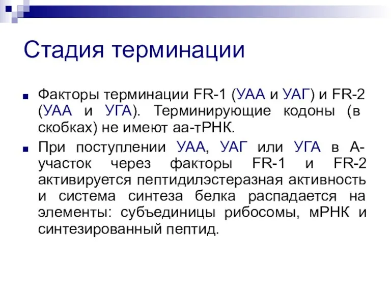 Стадия терминации Факторы терминации FR-1 (УАА и УАГ) и FR-2 (УАА и