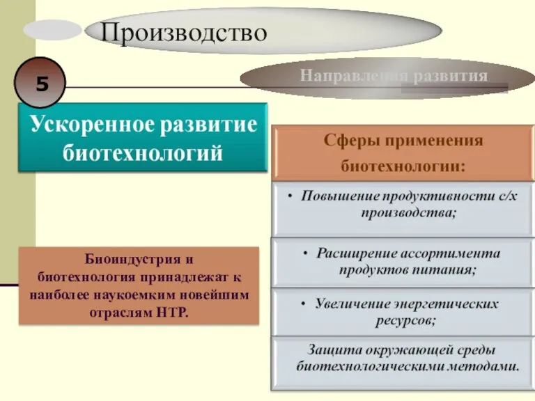 Производство Направления развития Биоиндустрия и биотехнология принадлежат к наиболее наукоемким новейшим отраслям НТР. 5