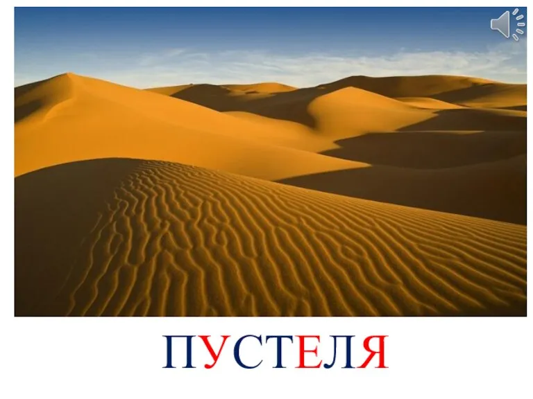 ПУСТЕЛЯ