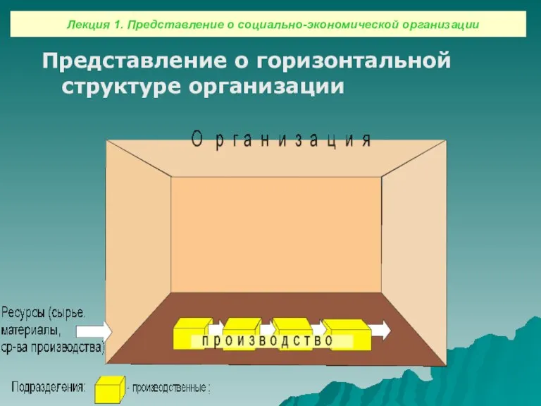 Представление о горизонтальной структуре организации Лекция 1. Представление о социально-экономической организации