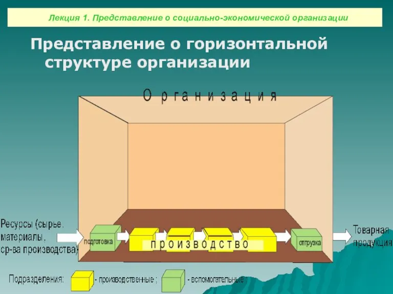 Представление о горизонтальной структуре организации Лекция 1. Представление о социально-экономической организации