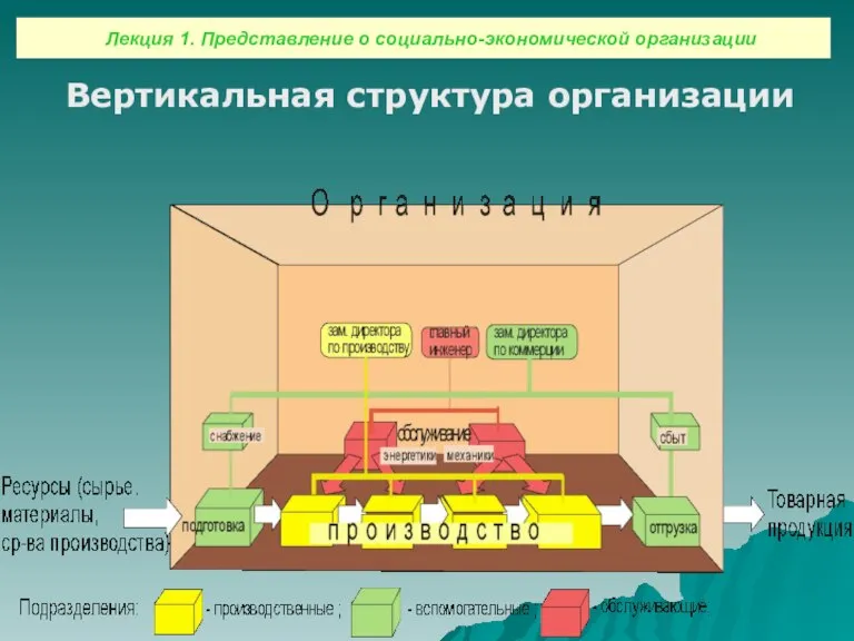 Вертикальная структура организации Лекция 1. Представление о социально-экономической организации