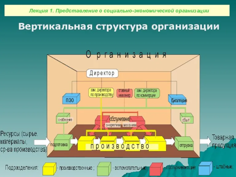 Вертикальная структура организации Лекция 1. Представление о социально-экономической организации