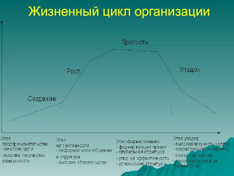 Жизненный цикл организации