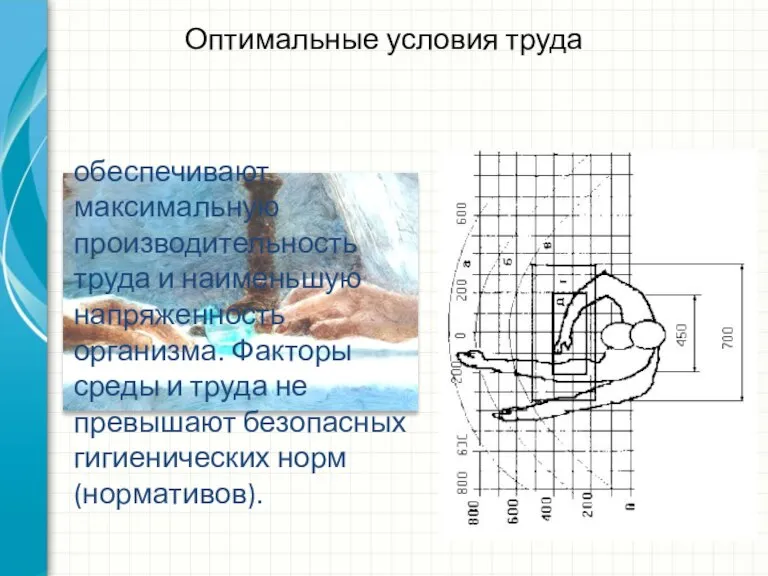 Оптимальные условия труда обеспечивают максимальную производительность труда и наименьшую напряженность организма. Факторы