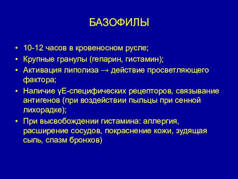 БАЗОФИЛЫ 10-12 часов в кровеносном русле; Крупные гранулы (гепарин, гистамин); Активация липолиза