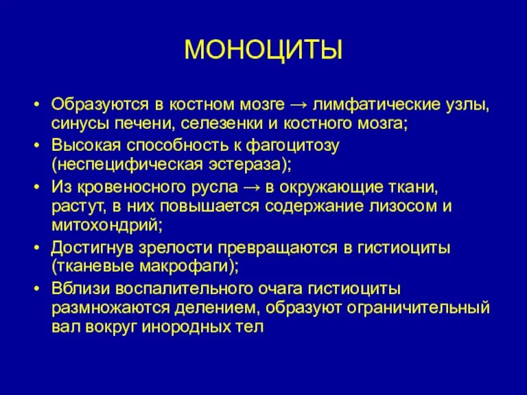 МОНОЦИТЫ Образуются в костном мозге → лимфатические узлы, синусы печени, селезенки и