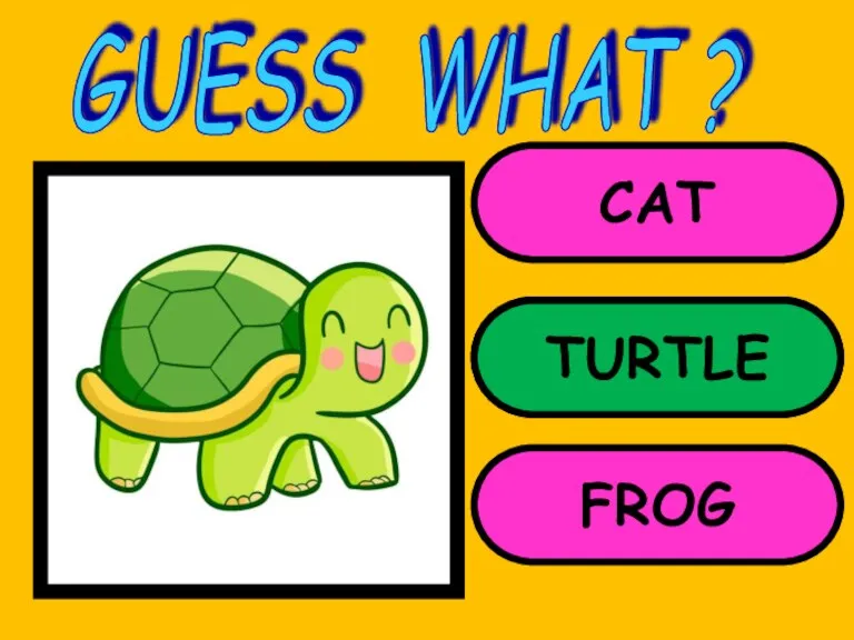 CAT TURTLE FROG GUESS WHAT ? TURTLE
