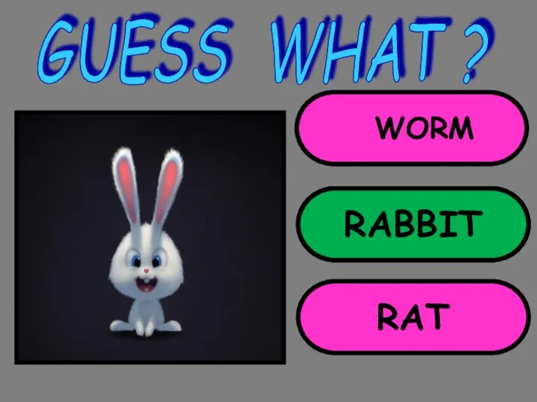 WORM RABBIT RAT GUESS WHAT ? RABBIT