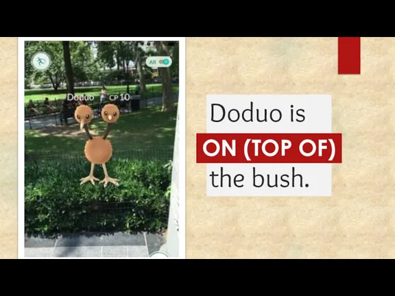 Doduo is ... the bush. ON (TOP OF)