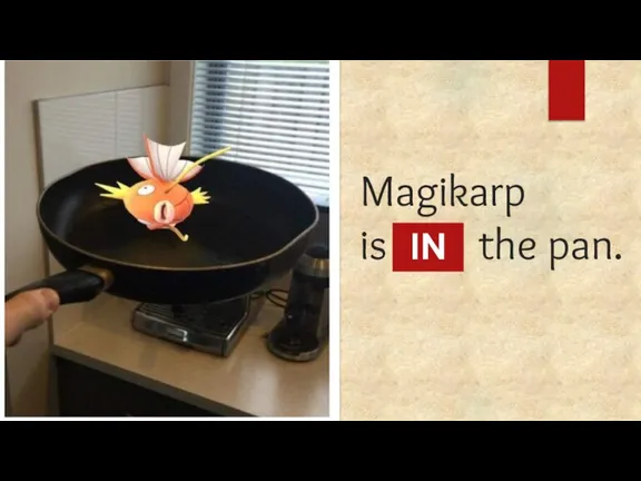 Magikarp is ... the pan. IN
