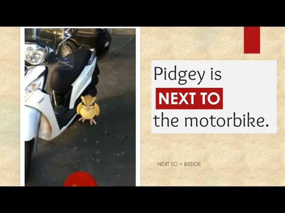 Pidgey is ... the motorbike. NEXT TO NEXT TO = BESIDE