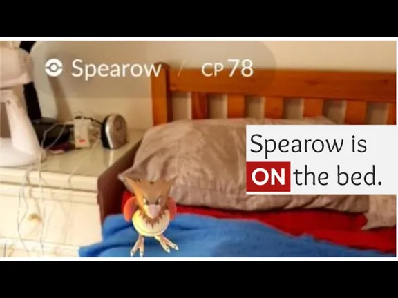 Spearow is ... the bed. ON
