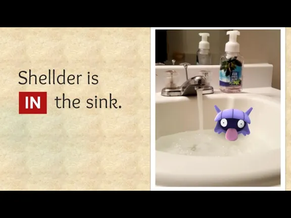 Shellder is ... the sink. IN