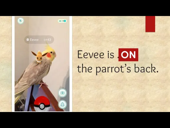 Eevee is ... the parrot’s back. ON